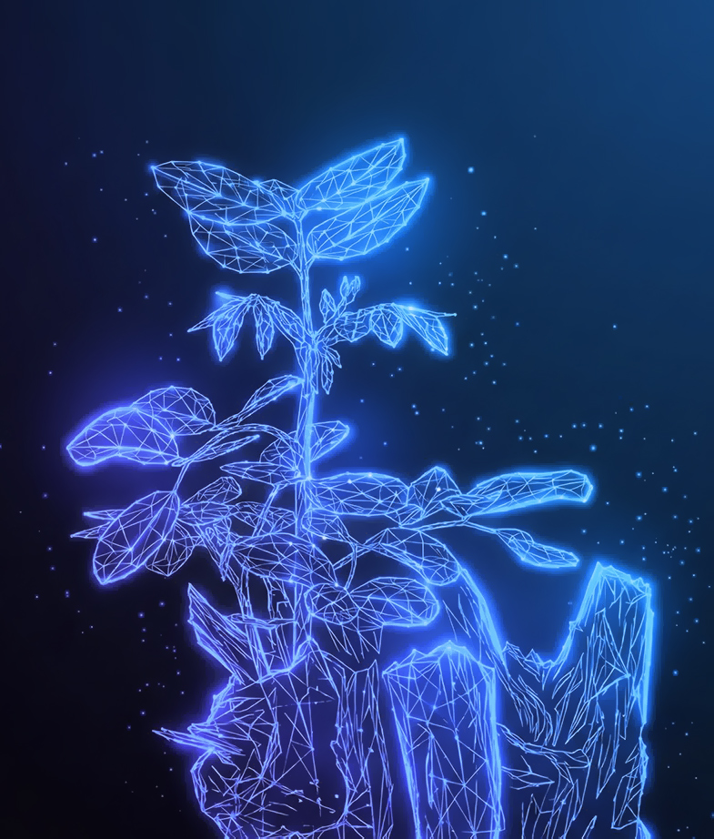 Une jeune plante qui grandit, image du parcours VAE d’AFOGEC